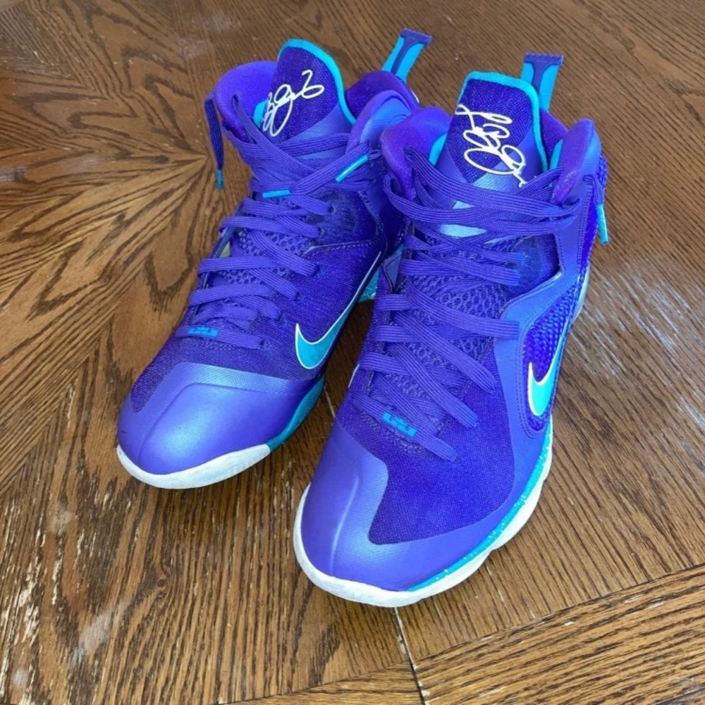 Lebron 9 summit Lake Hornets